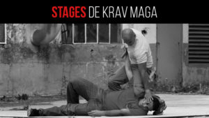 Stages de krav maga et self defense marseille